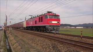 【冬晴れに赤!】EF510-8号機(4076レ) 日本海縦貫線(ハピラインふくい線) 2026年2月20日