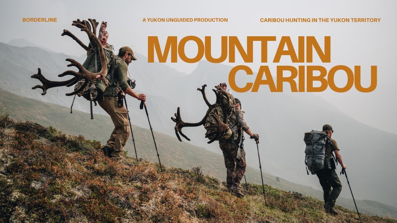 Yukon Caribou Hunt | BORDERLINE
