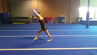 WAG Interclub Level 2 with splits