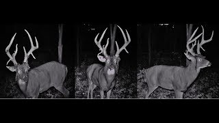 Freak of Nature Main Frame 6 Pointer
