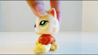 Lps Collection All My Persian Cats