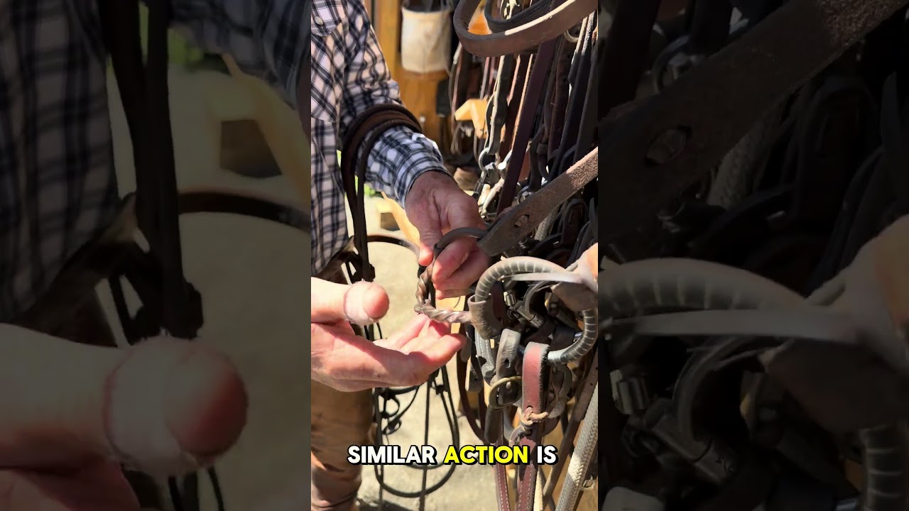 Question on twisted wire snaffle, when to use them