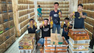 HARGA JOR JORAN MURAH DI PENGHUJUNG TAHUN 2025 !!! BURUNG GLATIK - JALAK - CIBLEK DLL