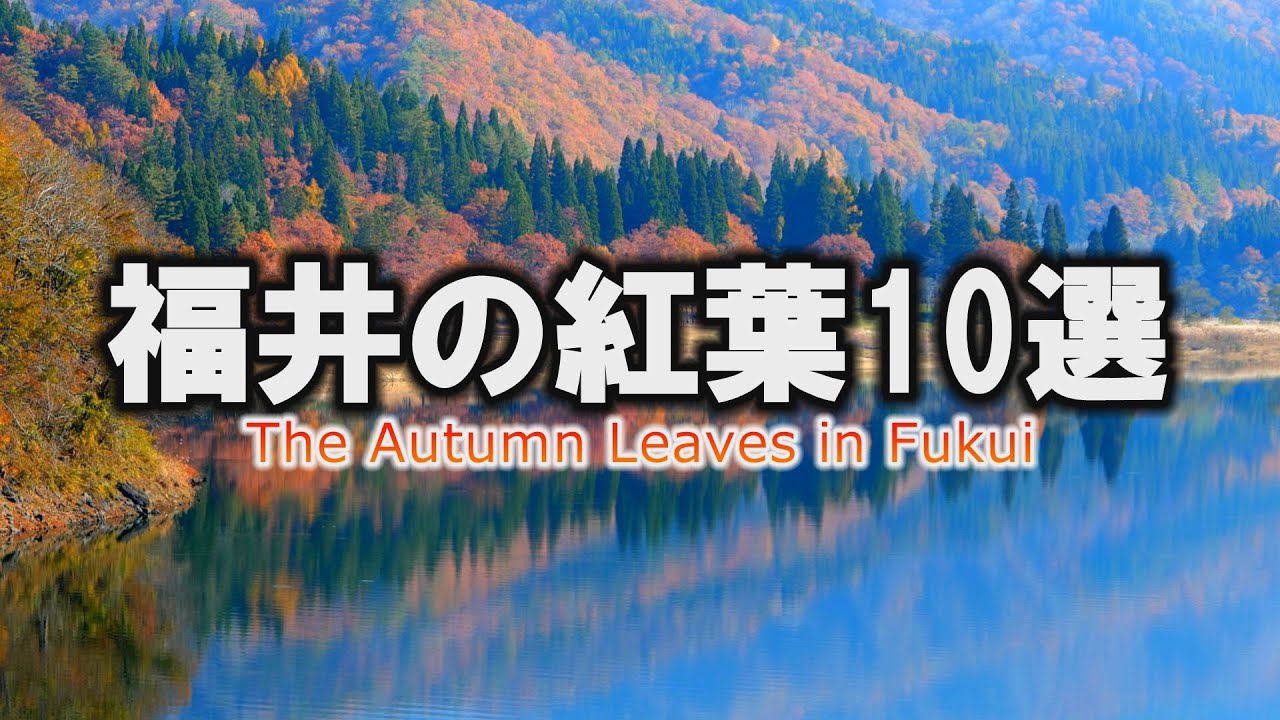 福井の紅葉見どころ「福井の紅葉１０選」～福井県【動画紀行・福井県】The Autumn Leaves in Fukui