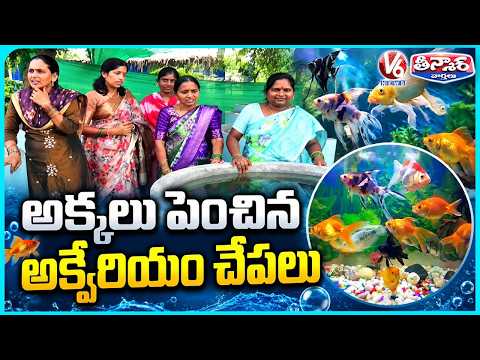 Karimnagar Women Sells Colourful & Beautiful Fish Creating Business Opportunity | V6 Teenmaar - V6NEWSTELUGU