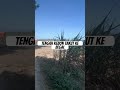 Kena begal