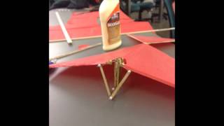 Final Flapping Flyer Video