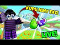 🎉KUPUJEMY EXC! 🎉ZABAWY/KONKURSY o HUGE!🎉|🎥 NOWY ODCNIEK! 🎥 |🎉1zł=15min🎉#roblox #live