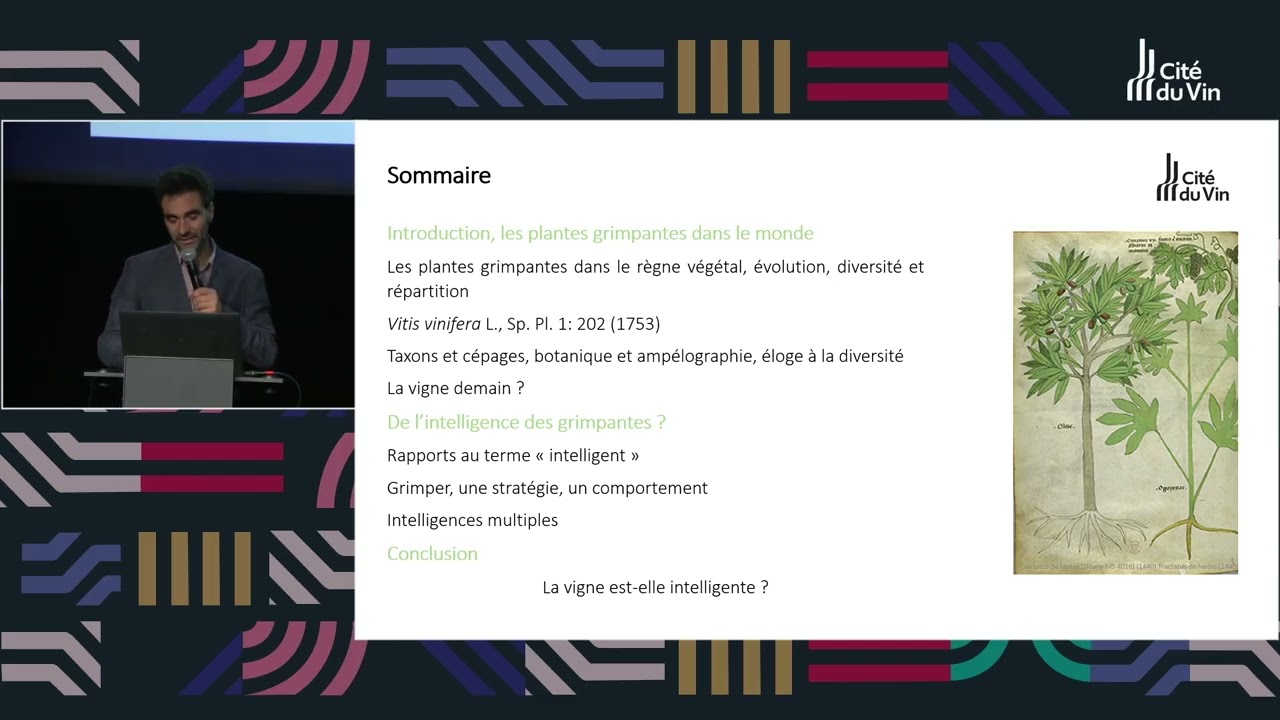 Fête de la Science - La vigne : interroger l’intelligence d’une plante