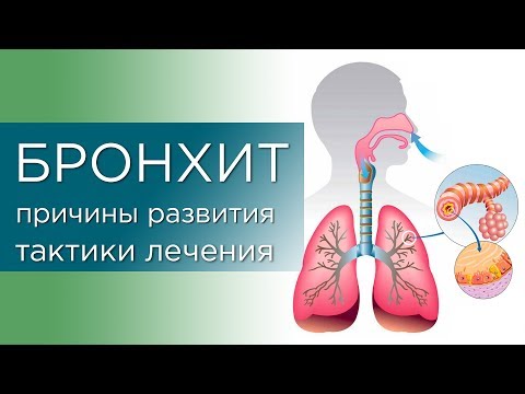 Видео: Как да помогнем на ново кученце сън през нощта