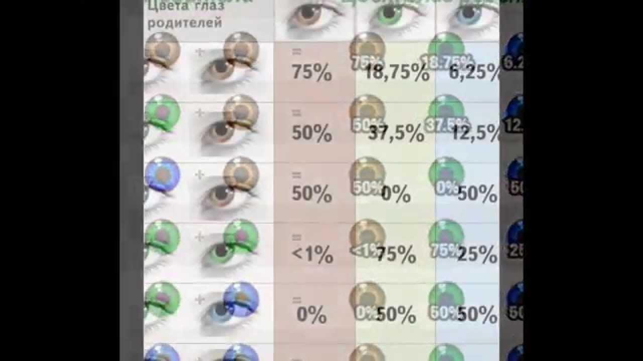 Если у мамы серые глаза а у папы карие какие будут у ребенка таблица. У папы голубые глаза. Таблица цвет глаз ребенка по цвету глаз родителей. Цвет глаз будущего ребенка таблица. Таблица цвет глаз ребенка по цвету глаз родителей.