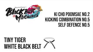 Tiny Tiger White Black Belt Curriculum