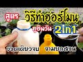 สูตร ! วิธีการทำฮอร์โมนทูอินวัน 2in1 ขวดเดียวจบ งามยกสวน