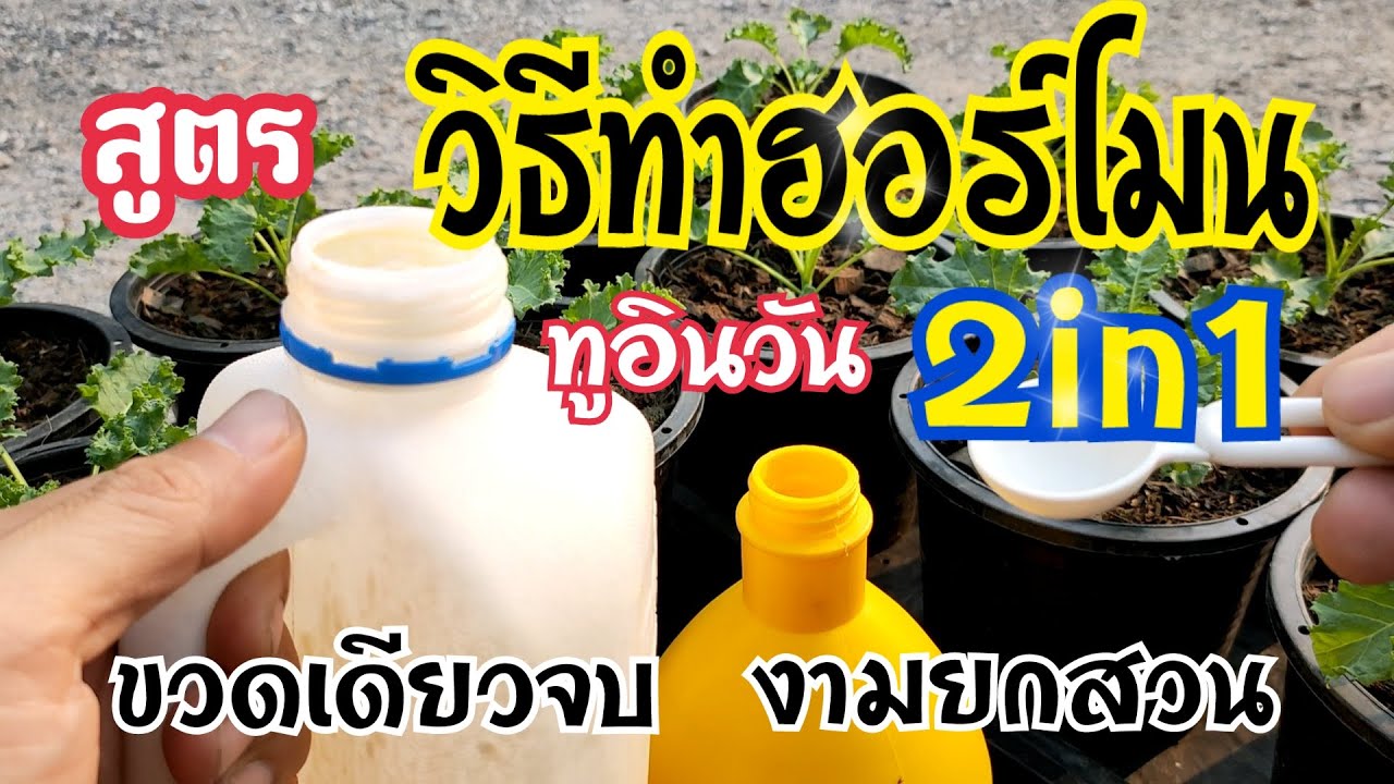 สูตร ! วิธีการทำฮอร์โมนทูอินวัน 2in1 ขวดเดียวจบ งามยกสวน