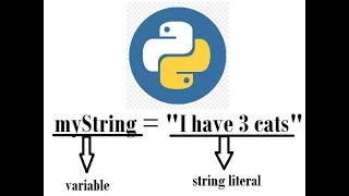 Famous Python Strings 2 Net Worth