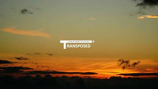 Bailando Transposed - Paradisio