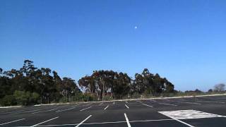 Fast merlin rc glider