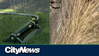 British Columbians asked to conserve water as drought gets worse