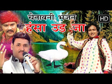 वीडियो: लांसोलेट केला