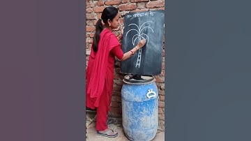 m = 🌴coconut🥥 tree how to easy draw #shortvideo #shorts #short #art #drawing #coconuttree #coconut