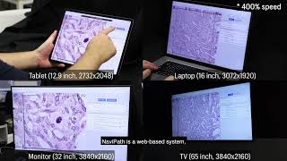 Augmenting Pathologists with NaviPath: Design and Evaluation of a Human-AI Collaborative Navigati...