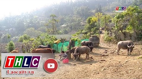 Mường Khương nỗ lực trong công tác giảm nghèo | THLC