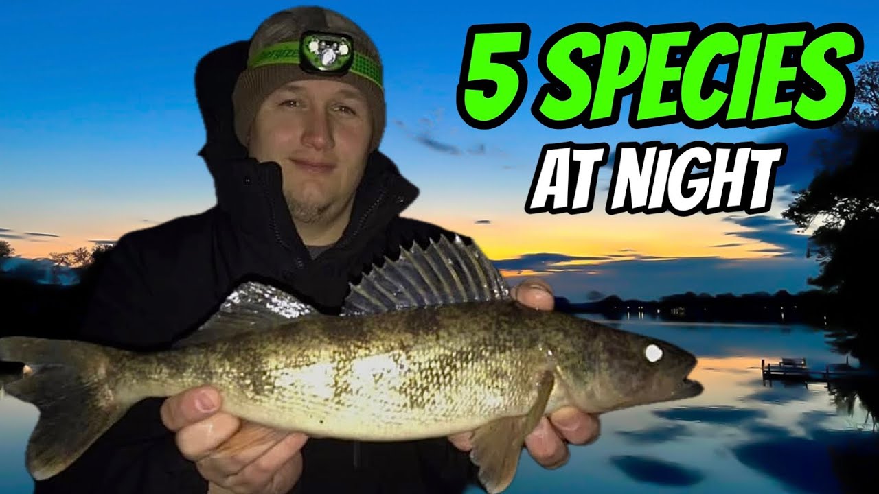 FINDING & CATCHING Fish During Fall on Swimbaits & Jerkbaits!