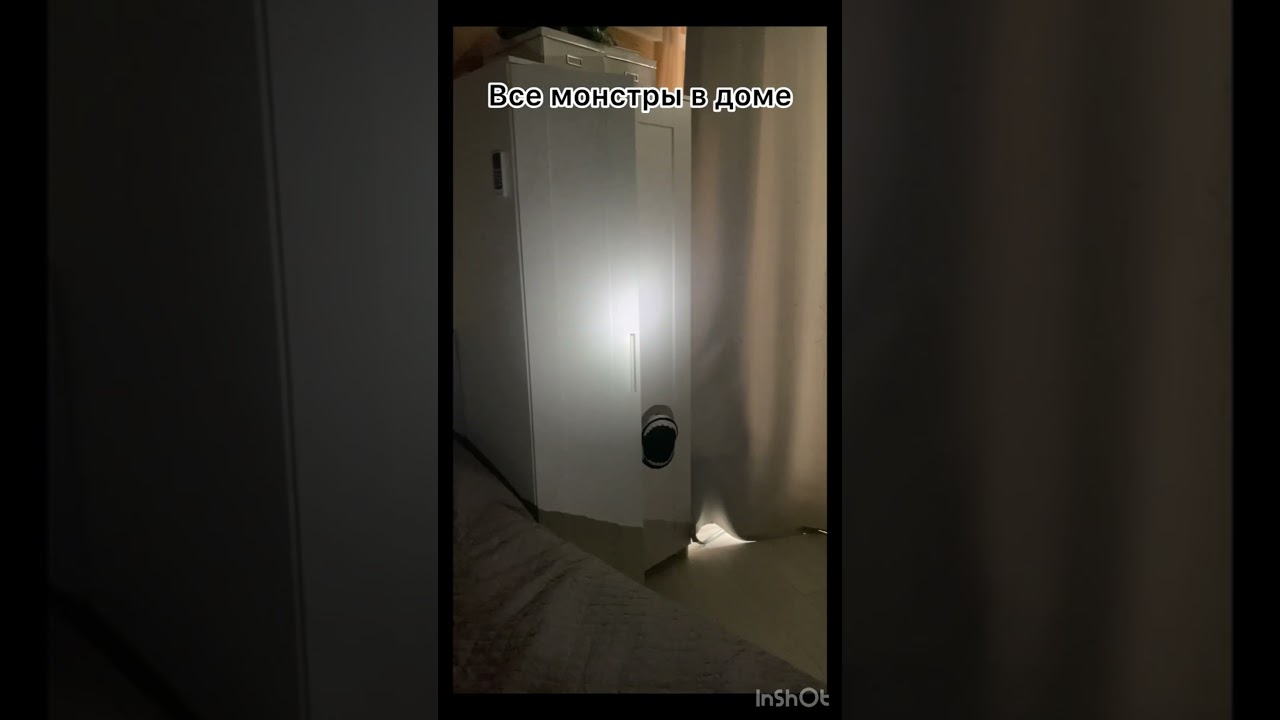 Монстры в доме .