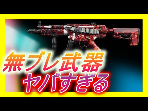 【COD:MW】無ブレ武器が強すぎる!？遠距離もぬけちゃうクレイジー武器を紹介!!