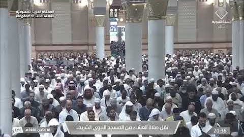 حسين ال الشيخ سورة المرسلات كاملة