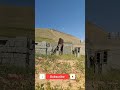 العيب هو تبقى واقف وما تدير حتى محاولة كل نهار كنكافحو باش نبنيو الله يسهل على كل واحد خدام بالحلال