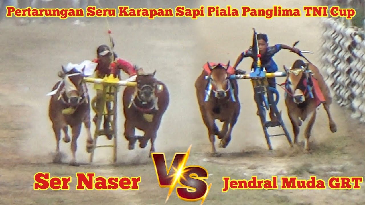 Pertarungan Seru Karapan Sapi Piala Panglima TNI Cup, Ser Naser Vs Jendral Muda GRT | Babak Ke Dua.