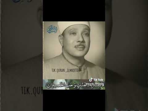 من اجمل التلاوات التي خشعت لها النفوس القارئ الشيخ عبد الباسط عبد الصمد