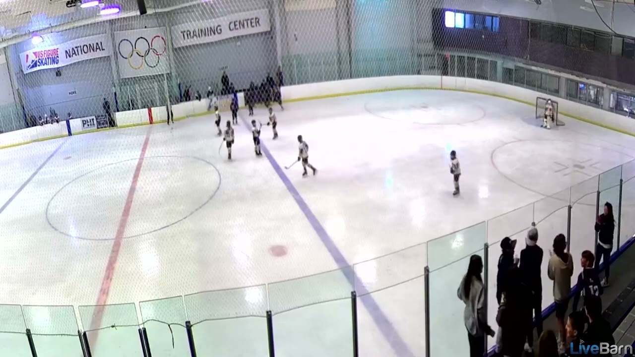 LiveBarn Mico Goal 01 15 2023 Ellenton Ice and Sports Complex South Rink