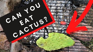 CAN YOU EAT A CACTUS? (desert survival food and water) (nopales)
