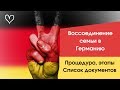 Воссоединение семьи Германия. Этапы, документы, процедура воссоединения