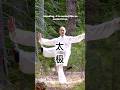 Kicking, it passes by like a speck of dust!#太极拳 #功夫 #武术 #taichi #kungfu #taijiquan #energy #Flow 