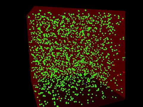 Parallel Programming Disease Propogation