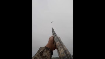 Which one of these 2 clips you all like the most ? #duckhunting #hunting #duck @bossshotshells