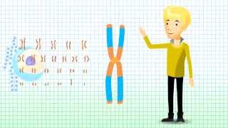 Understanding Chromosomal Translocation - Robertsonian Translocation v1.2