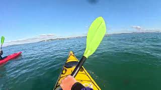 St Heliers to Rangitoto and Return