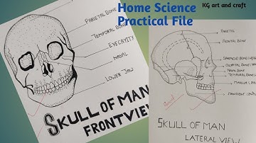 Home science practical file class 12/ Home science practical file kaise likhe/ project@KGartandcraft