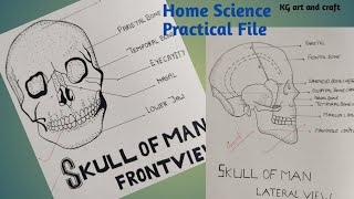 Home science practical file class 12/ Home science practical file kaise likhe/ project@KGartandcraft