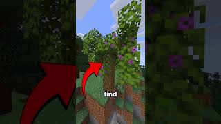 The Chaos Cubed Update Is Wild