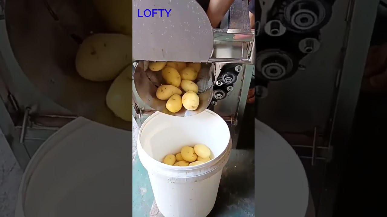 Sweet Potato Washing Machine