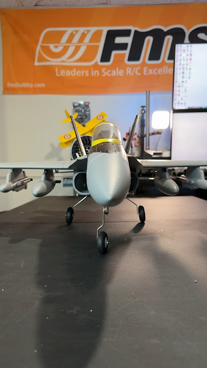 Sights & Sounds of an RC F-18 Jet!