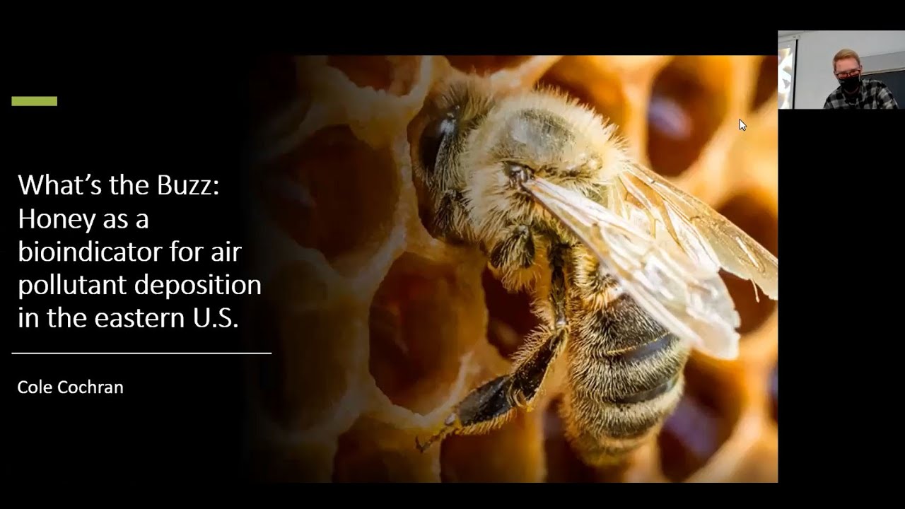 What's the Buzz: Honey as a Bioindicator for Air Pollution