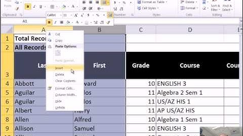 Mr Excel & excelisfun Trick 83: PowerPivot or Helper Column & PivotTable & Custom Number Format