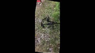 Two Santa Cruz County (CA) civilians take down armed murder suspect