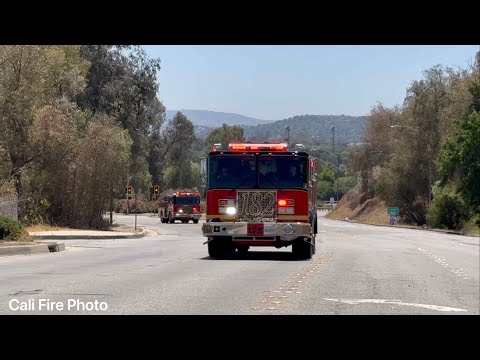Vegetation Fire Response LACoFD 184s First Due 
